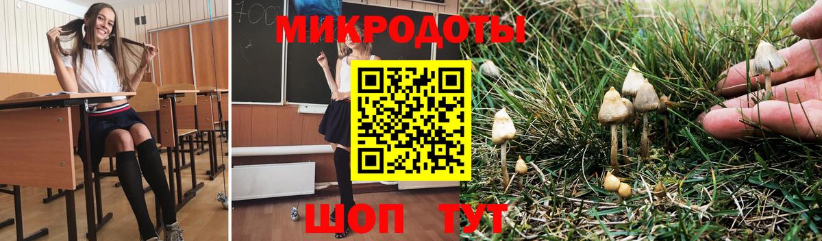 Галлюциногенные грибы ЛСД  Вход с VPN  Домодедово 