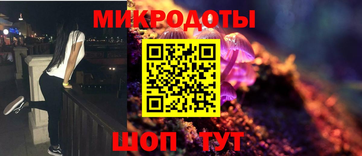 Псилоцибиновые грибы Cubensis Домодедово